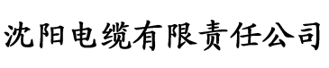 污版视频网站电缆厂logo